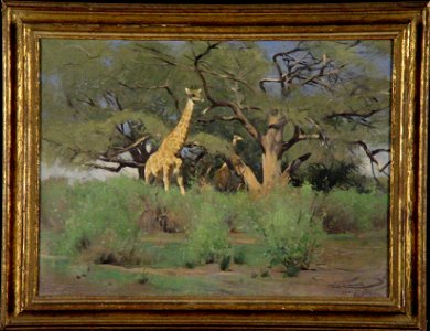 Wilhelm Kuhnert - Giraffen onder acacia's na regentijd - 0193 - Rijksmuseum Twenthe