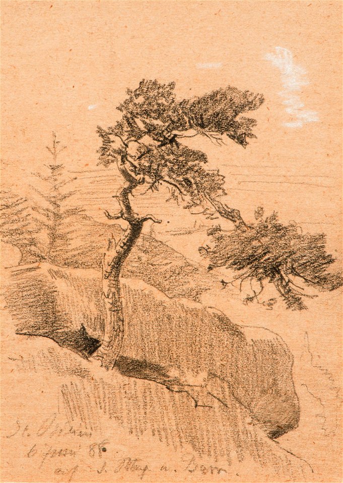 Wilhelm Hasemann Studie 1