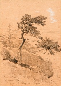 Wilhelm Hasemann Studie 1