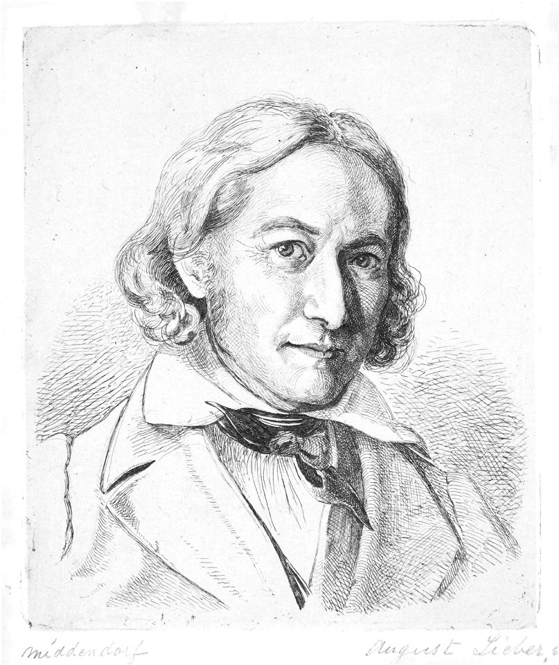 Wilhelm Middendorf by August Lieber