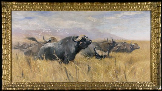 Wilhelm Kuhnert - Kudde opgejaagde Afrikaanse buffels en koereigers - 0379 - Rijksmuseum Twenthe