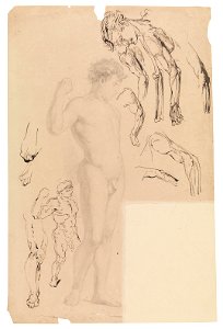 Wilhelm Busch Akt und Detailstudien