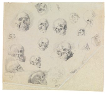 Wilhelm Busch Schädelstudien 1