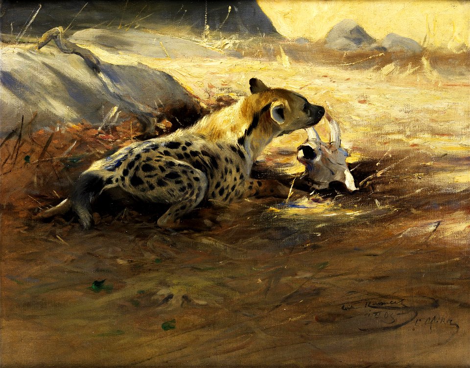 Wilhelm Kuhnert Hyäne 1905