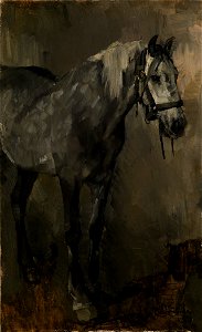 Wilhelm Trübner - Schimmel in Dreiviertelansicht - 1977 - Staatliche Kunsthalle Karlsruhe
