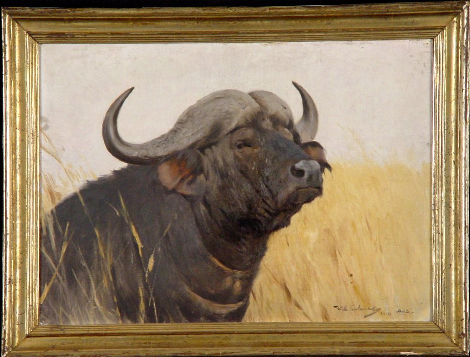 Wilhelm Kuhnert - Kop van een Afrikaanse buffel - 0455 - Rijksmuseum Twenthe