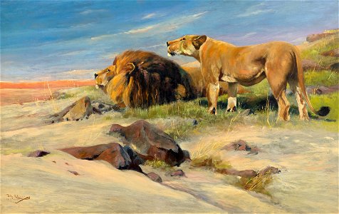 Wilhelm Kuhnert Löwenpaar in der Steppe 1905