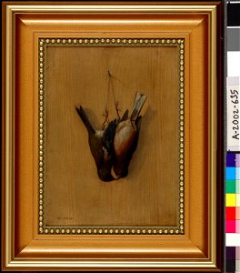 Wilhelm von Wright - Two Hung Finches - A-2002-635 - Finnish National Gallery