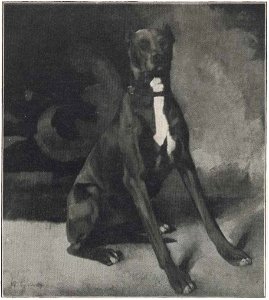 Wilhelm Trübner Sitzende Dogge