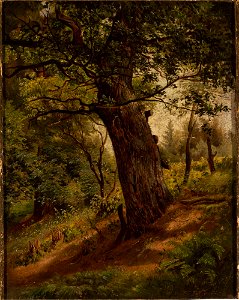 Wilhelm Peter Bayer - Study of a tree - M.Ob.1378 MNW - National Museum in Warsaw