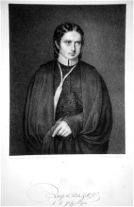 Wilhelm Sedlaczek II Litho