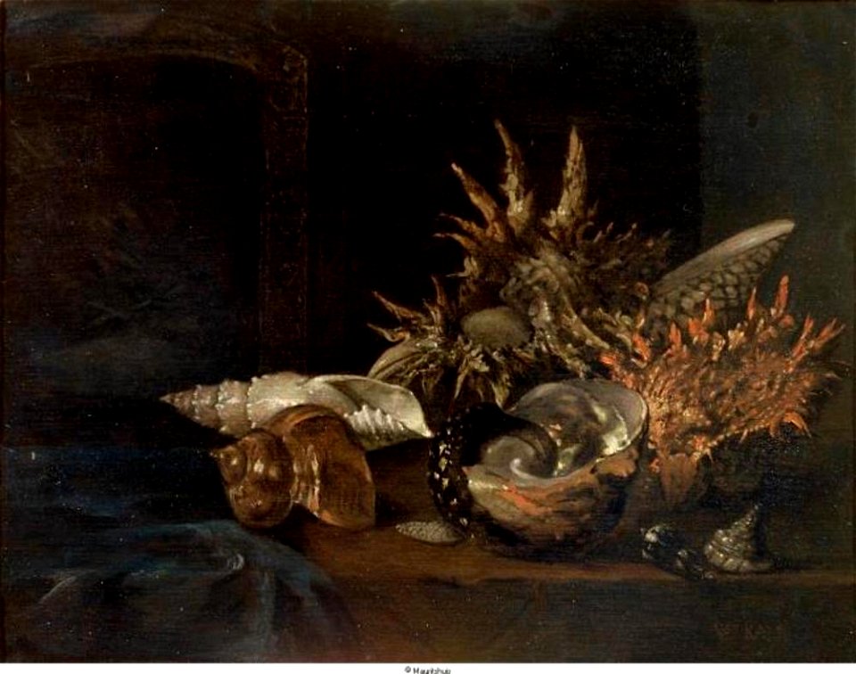 Willem Kalf - Stilleven met schelpen en lakwerk doos - 971 - Mauritshuis