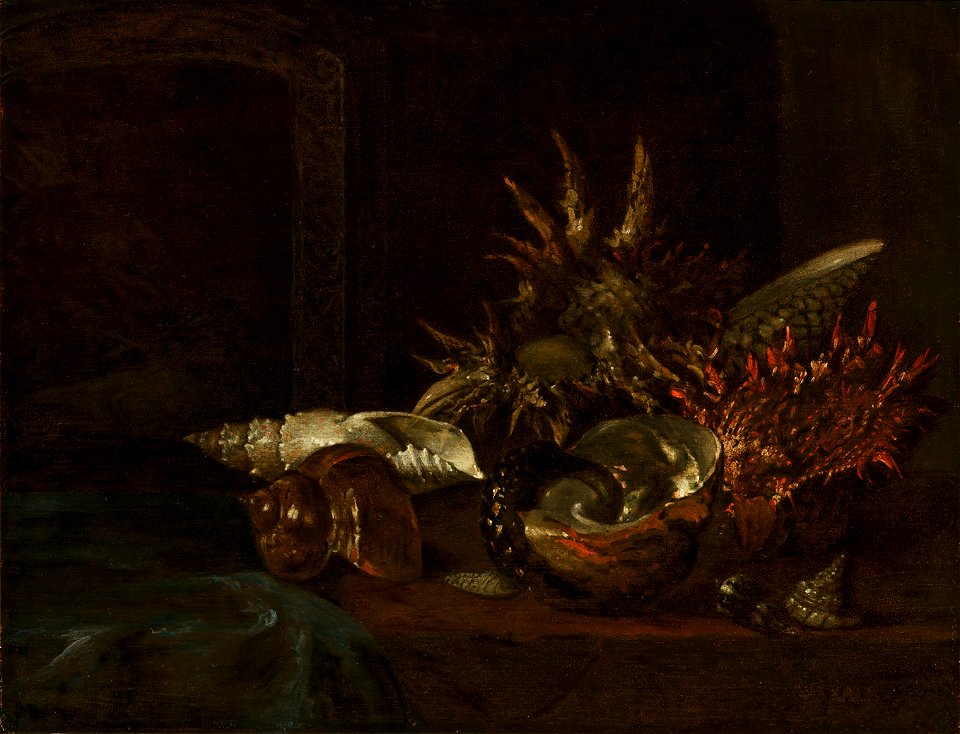 Willem Kalf - Still Life with Shells - 971 - Mauritshuis