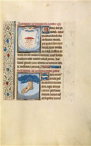 Willem Vrelant (Flemish, died 1481, active 1454 - 1481) - An Angel Holding a Cloth with Christ's Bleeding Wound; Christ's Right Foot with Wound - Google Art Project
