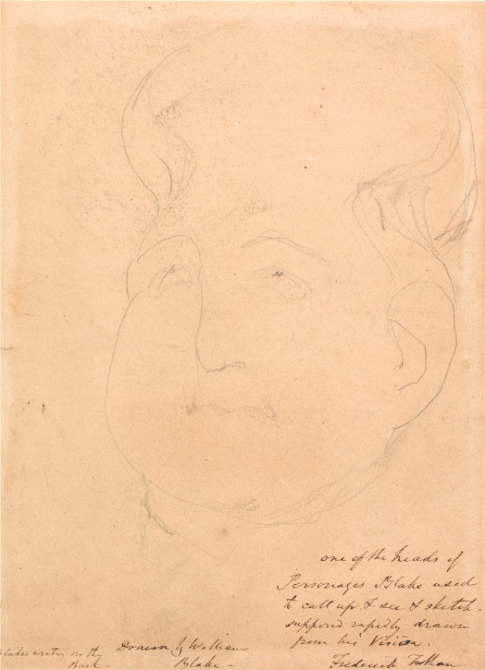 William Blake - A Visionary Head - Google Art Project