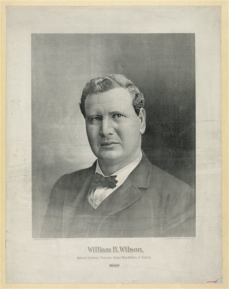 William B. Wilson, national secretary-treasurer, united mine workers of America LCCN2004667956