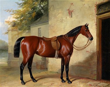 William Barrand Gesattelter Brauner