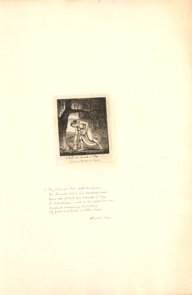 William Blake - For the Sexes- The Gates of Paradise, Plate 3, I found him beneath a Tree - Google Art Project
