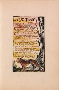William Blake - Songs of Innocence and of Experience, Plate 36, The Tyger (Bentley 42) - Google Art Project