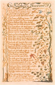 William Blake - Songs of Innocence, Plate 24, On Anothers Sorrow (Bentley 27) - Google Art Project