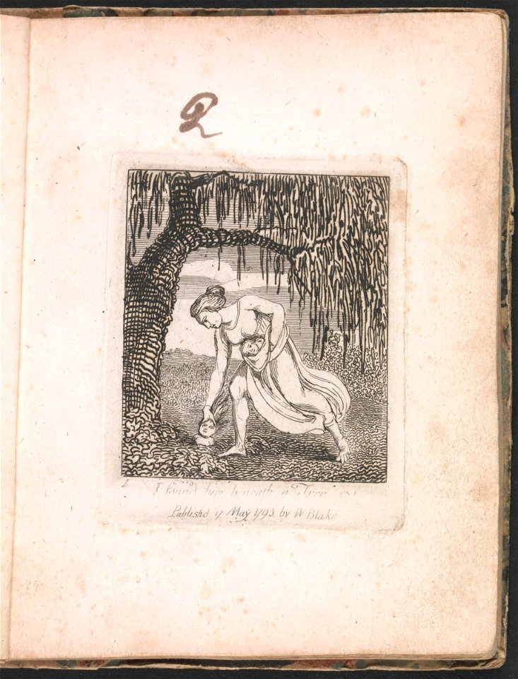 William Blake - For Children. The Gates of Paradise, Plate 3, I found him beneath a Tree - Google Art Project