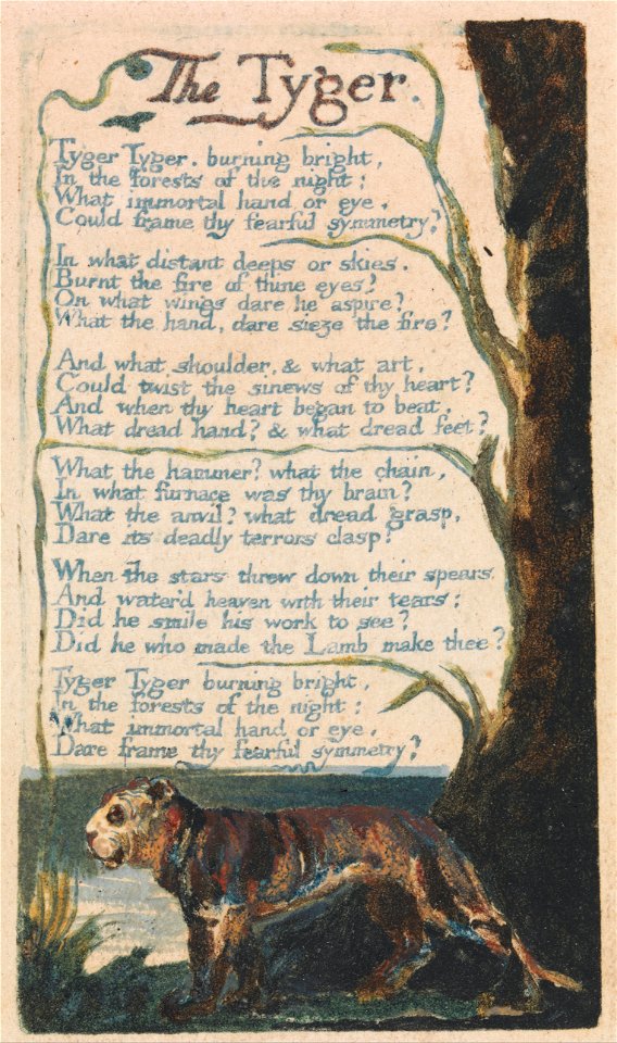 William Blake - Songs of Innocence and of Experience, Plate 42, The Tyger (Bentley 42) - Google Art Project