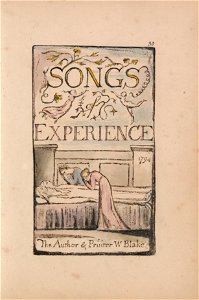 William Blake - Songs of Innocence and of Experience, Plate 30, Experience Title Page (Bentley 29) - Google Art Project