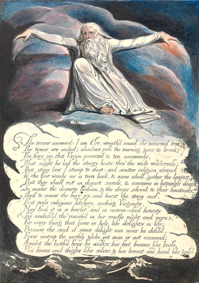 William Blake - America. A Prophecy, Plate 10, The Terror Answered.... - Google Art Project
