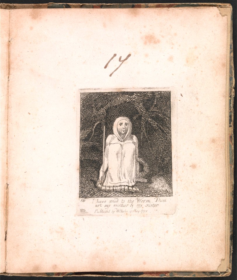William Blake - For Children. The Gates of Paradise, Plate 18, I have said to the Worm . . . . - Google Art Project