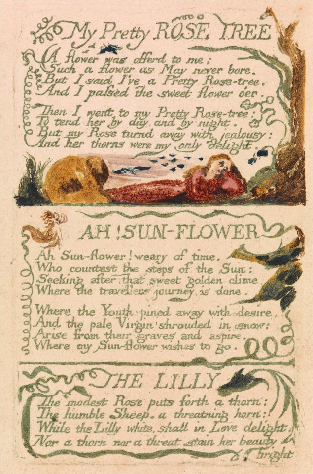 William Blake - Songs of Innocence and of Experience, Plate 47, My Pretty Rose Tree (Bentley 43) - Google Art Project
