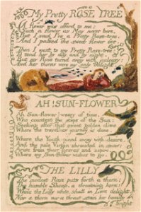 William Blake - Songs of Innocence and of Experience, Plate 47, My Pretty Rose Tree (Bentley 43) - Google Art Project