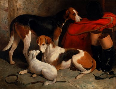 William Barraud - A Couple of Foxhounds with a Terrier, the property of Lord Henry Bentinck - Google Art Project. Free illustration for personal and commercial use.