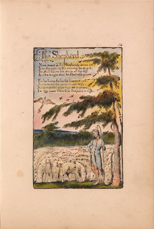 William Blake - Songs of Innocence and of Experience, Plate 14, The Shepherd (Bentley 5) - Google Art Project