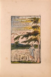 William Blake - Songs of Innocence and of Experience, Plate 14, The Shepherd (Bentley 5) - Google Art Project. Free illustration for personal and commercial use.