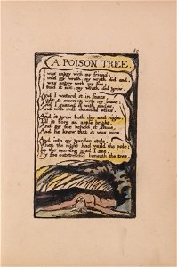 William Blake - Songs of Innocence and of Experience, Plate 50, A Poison Tree (Bentley 49) - Google Art Project