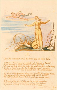 William Blake - The Book of Thel, Plate 6, III. , Then Thel astonish'd . . . . - Google Art Project. Free illustration for personal and commercial use.