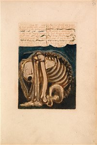 William Blake - The First Book of Urizen, Plate 12, Los Smitten with Astonishment.... (Bentley 8) - Google Art Project