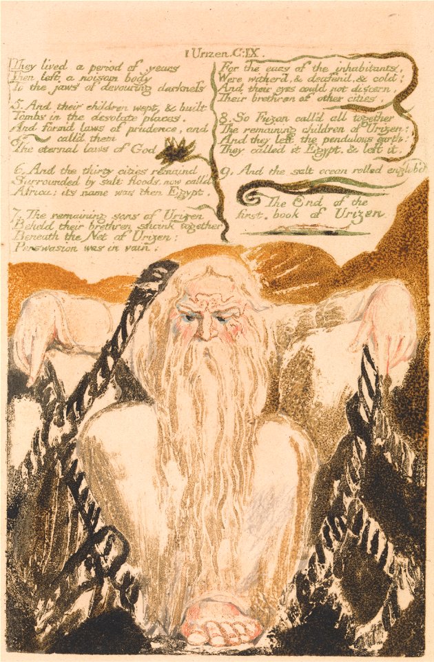 William Blake - The First Book of Urizen, Plate 25, They lived a period of years . . . . (Bentley 28) - Google Art Project