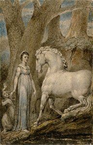 William Blake - The Horse - Google Art Project. Free illustration for personal and commercial use.