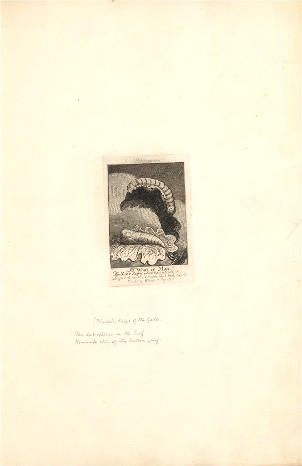William Blake - For the Sexes- The Gates of Paradise, Plate 2, Frontispiece, What is Man! - Google Art Project