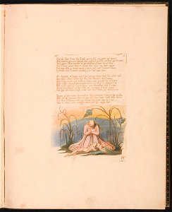 William Blake - The Book of Thel, Plate 7, But he that loves the lowly . . . . - Google Art Project (2378817)