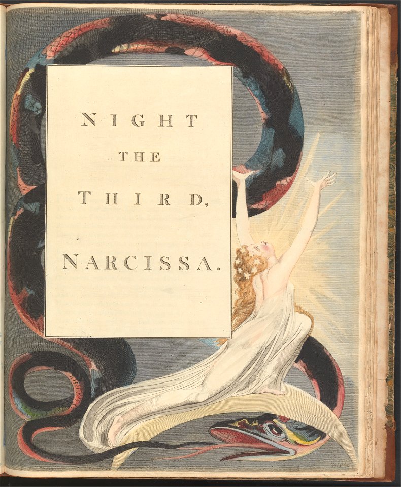 William Blake - Young's Night Thoughts, Page 43, Night the Third, Narcissa. - Google Art Project