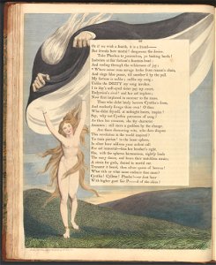 William Blake - Young's Night Thoughts, Page 46, Where sense runs savage broke from reason's chain - Google Art Project