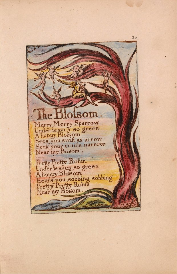 William Blake - Songs of Innocence and of Experience, Plate 20, The Blossom (Bentley 11) - Google Art Project