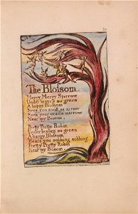 William Blake - Songs of Innocence and of Experience, Plate 20, The Blossom (Bentley 11) - Google Art Project