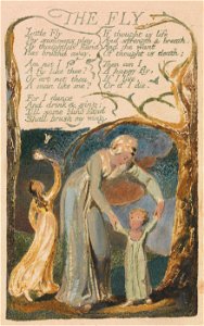 William Blake - Songs of Innocence and of Experience, Plate 48, The Fly (Bentley 40) - Google Art Project. Free illustration for personal and commercial use.