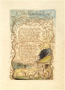 William Blake - Songs of Innocence and Experience - The Lamb. Free illustration for personal and commercial use.