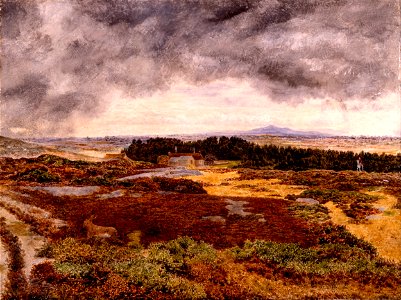 William Davis - View from Bidston Hill - Google Art Project