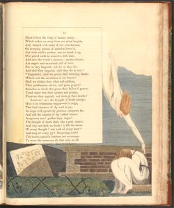 William Blake - Young's Night Thoughts, Page 55, Ungrateful, shall we grieve their hovering shades - Google Art Project