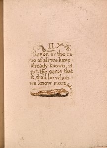 William Blake - There Is No Natural Religion, Plate 11, II Reason or the ratio . . . .  (Bentley b4) - Google Art Project